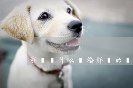 鄢頗為什么離婚(鄢頗的現(xiàn)狀)