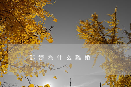 鄧婕為什么離婚