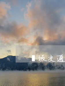 鄭坂交通事故(坂田交通事故)