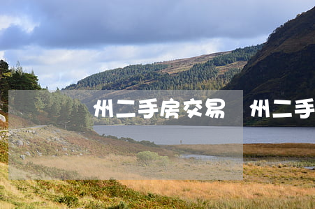 鄭州二手房交易(鄭州二手房交易量)
