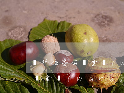 鄭州住房公積金網(wǎng)(鄭州住房公積金網(wǎng)上提取流程)
