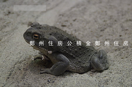 鄭州住房公積金(鄭州住房公積金電話(huà))