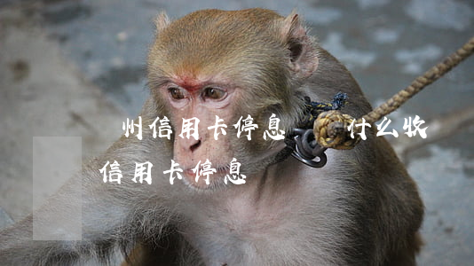鄭州信用卡停息掛賬什么收費標準-什么是信用卡停息掛帳