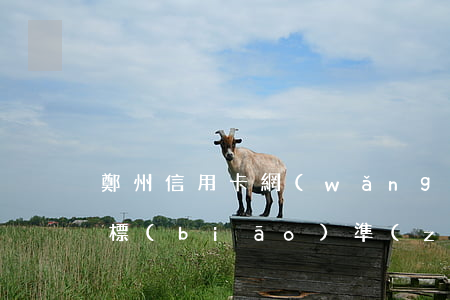 鄭州信用卡網(wǎng)貸逾期起訴立案標(biāo)準(zhǔn)-鄭州信用卡網(wǎng)貸逾期起訴立案標(biāo)準(zhǔn)是多少
