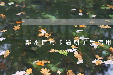 鄭州信用卡逾期了(我信用卡逾期了)