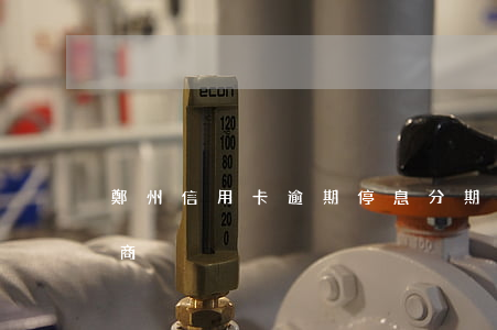 鄭州信用卡逾期停息分期怎么協(xié)商