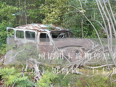 鄭州信用卡逾期停息分期怎么申請(qǐng)(如何向銀行信用卡申請(qǐng)停息分期)