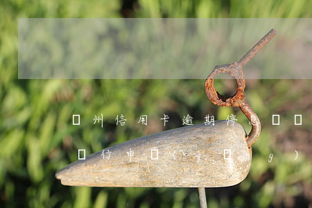 鄭州信用卡逾期停息掛賬(信用卡逾期可以跟銀行申請(qǐng)停息掛賬嗎)