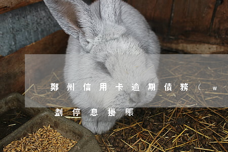 鄭州信用卡逾期債務(wù)規(guī)劃停息掛賬