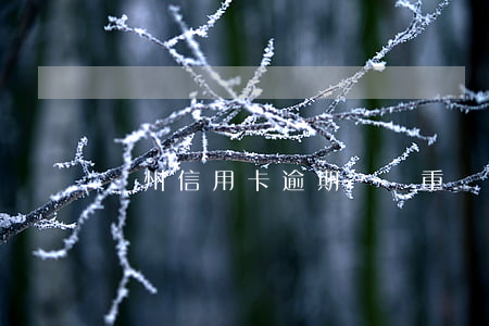 鄭州信用卡逾期債務重組(信用卡逾期二次重組)