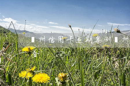 鄭州信用卡逾期案例(鄭州信用卡逾期案例大全)