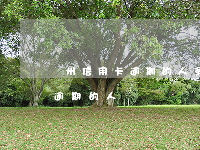 鄭州信用卡逾期的人多嗎(中國有多少信用卡逾期的人)
