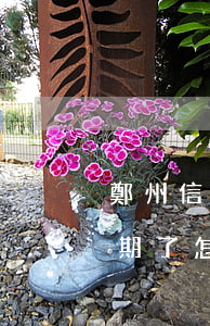 鄭州信用卡逾期被拘留(進了拘留所信用卡逾期了怎么辦)