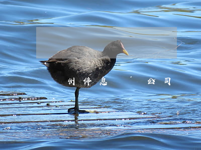 鄭州停息掛賬公司賺錢嗎