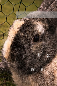 鄭州公積金貸款逾期四天(公積金貸款幾天算逾期?)