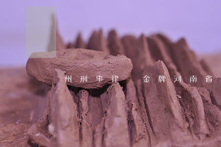 鄭州刑事律師金牌(河南省金牌律師)