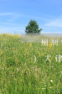 鄭州刑事案件有名律師(鄭州刑事辯護(hù)大律師)