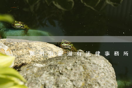 鄭州南龍湖有法律事務所沒有(鄭州的律所)