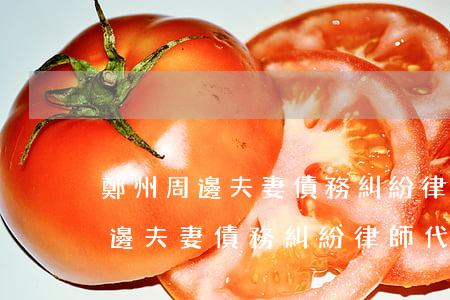 鄭州周邊夫妻債務糾紛律師代理費-鄭州周邊夫妻債務糾紛律師代理費多少