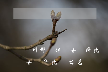 鄭州哪個律師事務所比較出名(鄭州哪個律師事務所比較出名)