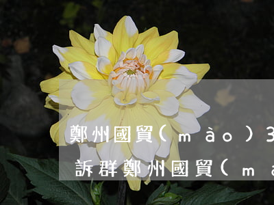 鄭州國貿(mào)360業(yè)主起訴群 鄭州國貿(mào)360業(yè)主起訴群