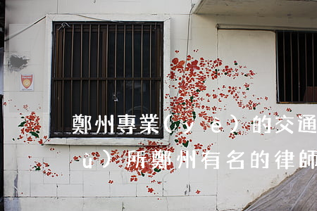 鄭州專業(yè)的交通事故律師事務(wù)所(鄭州有名的律師)
