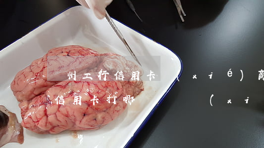鄭州工行信用卡協(xié)商(工商銀行欠信用卡打哪個電話協(xié)商還本金)