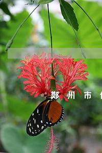 鄭州市信用卡逾期名單