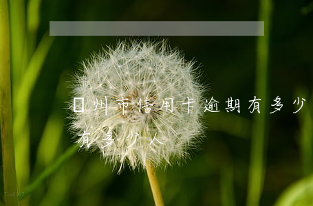 鄭州市信用卡逾期有多少(鄭州市信用卡逾期有多少人)
