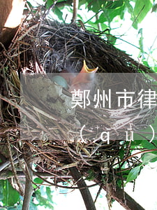 鄭州市律師事務(wù)所排名(鄭州高新區(qū)律師事務(wù)所排名)