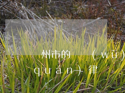 鄭州市的債務(wù)糾紛律師(鄭州債權(quán)律師)