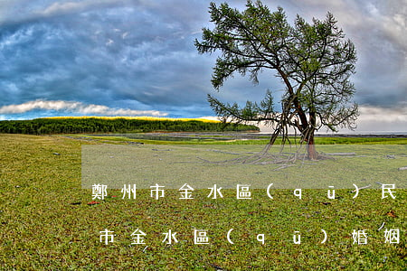 鄭州市金水區(qū)民政局離婚周幾(鄭州市金水區(qū)婚姻登記處離婚時(shí)間)