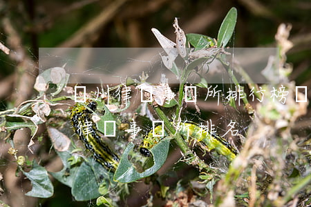 鄭州律師事務所排行榜(鄭州高新區(qū)律師事務所排名)