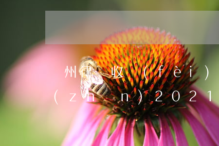 鄭州律師收費(fèi)標(biāo)準(zhǔn)2021(鄭州律師收費(fèi)標(biāo)準(zhǔn)2021)