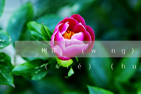 鄭州律師網(wǎng)打不開(鄭州市律師協(xié)會(huì)投訴電話)