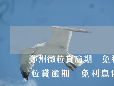 鄭州微粒貸逾期減免利息停息掛賬-鄭州微粒貸逾期減免利息停息掛賬是真的嗎