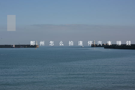 鄭州怎么拍違停汽車賺錢