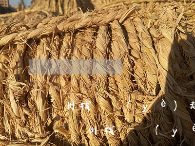 鄭州找專業(yè)起訴離婚律師微信咨詢-鄭州找專業(yè)起訴離婚律師微信咨詢電話