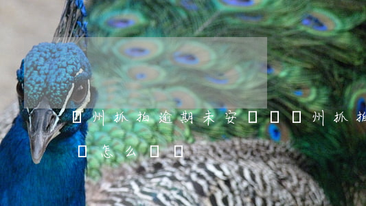 鄭州抓拍逾期未安檢嗎(鄭州抓拍逾期未安檢嗎怎么處罰)