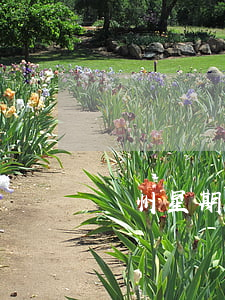 鄭州星期幾可以辦理離婚