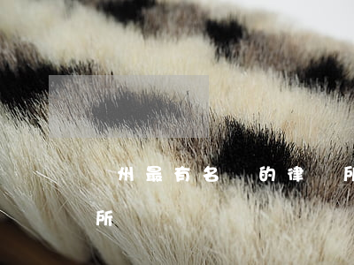 鄭州最有名氣的律師所(河南鄭州最大的律師所)