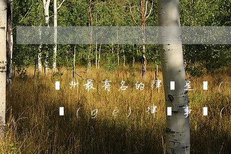 鄭州最有名的律師是誰(shuí)(鄭州哪個(gè)律師事務(wù)所比較出名)