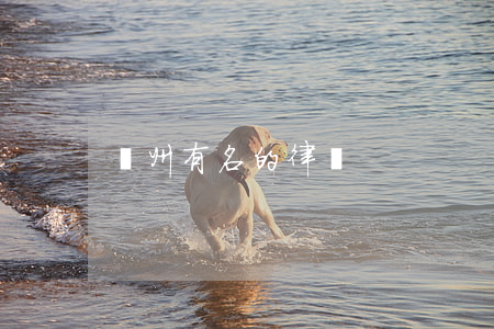 鄭州有名的律師