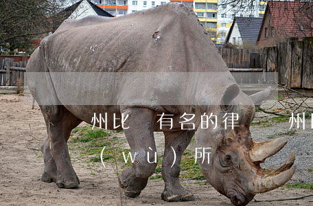 鄭州比較有名的律師(鄭州比較有名的律師事務(wù)所)