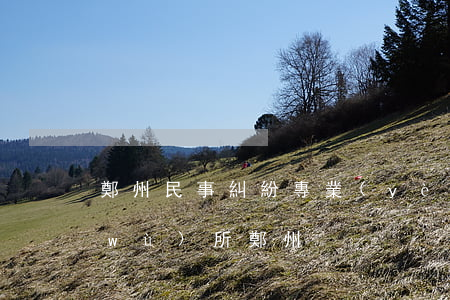 鄭州民事糾紛專業(yè)律師(律師事務(wù)所鄭州)