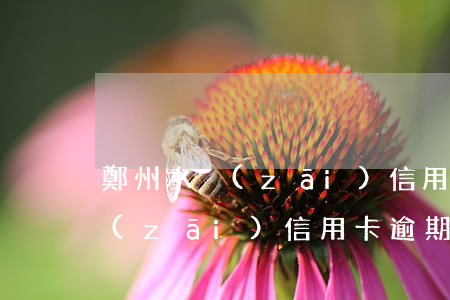 鄭州水災(zāi)信用卡逾期-鄭州水災(zāi)信用卡逾期