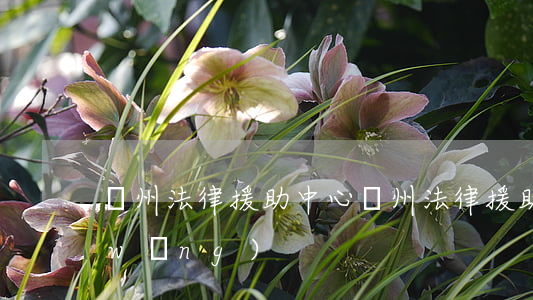 鄭州法律援助中心(鄭州法律援助中心官網(wǎng))