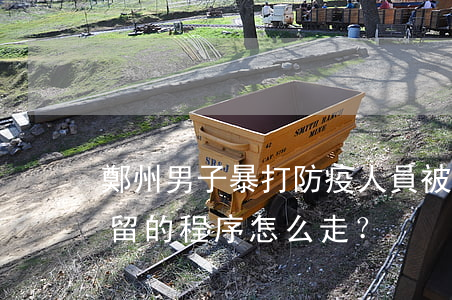 鄭州男子暴打防疫人員被行拘15天 行政拘留的程序怎么走？