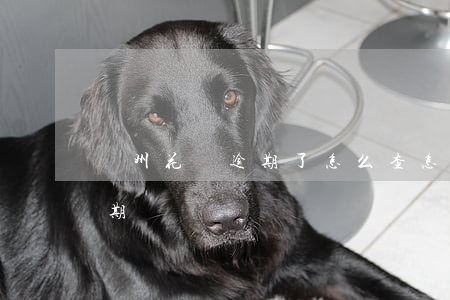 鄭州花唄逾期了怎么查(怎么看花唄有沒有逾期)