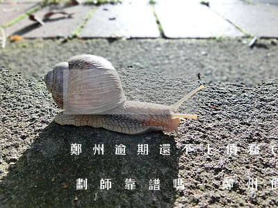 鄭州逾期還不上債務(wù)規(guī)劃師靠譜嗎-鄭州債務(wù)律師在線咨詢